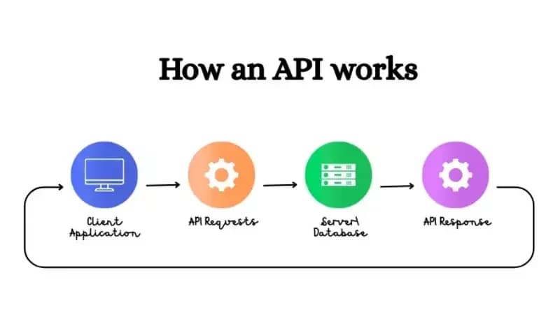 Diagram showing how an application programming interface connects software components.